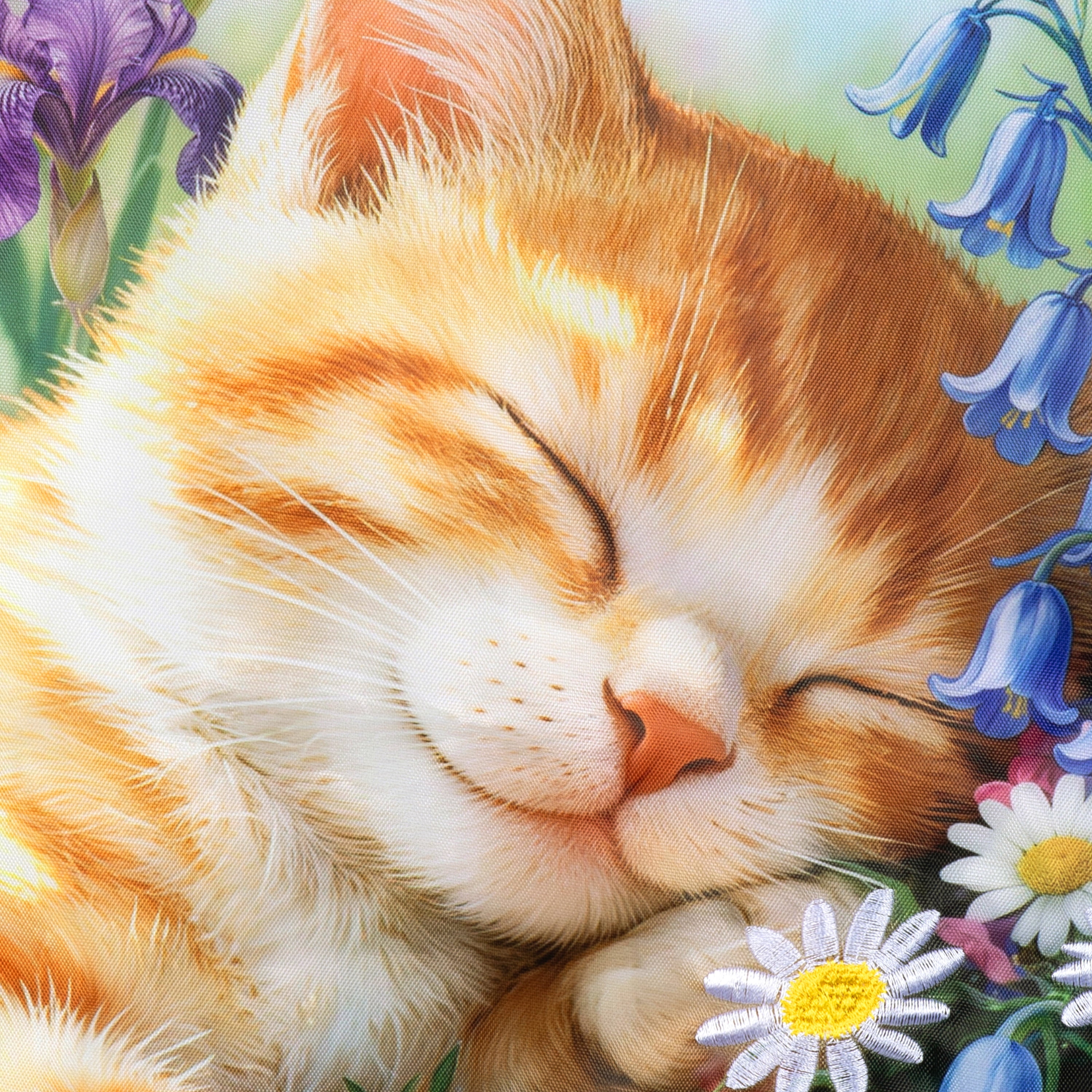 MC SLEEP CAT