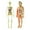 Anatomy Models, variant on 1 Set Human Skeleton Model Education Display Skeleton Models
