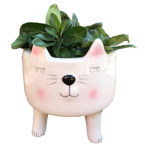 Planter for Succulent Plant Ceramic Plant Pots Indoor, Novelty Planters for Home Office Garden White Cat, Small, 1