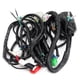 thumbnail image 2 of Arnes Electrico Roda para Italika Ft 180 Ts (19) Ft 200 Ts (19) 12V, 2 of 2