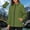 Army Green women hooded windbreaker a1, variant on thefmos Women's Hooded Long Sleeve Zip Up Windbreaker for Women Fall Winter Spring Casual Basic Outwear Comfy Lightweight Jacket with Pockets Trendy Everyday Streetwear, Yellow M