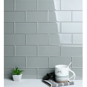WS Tiles - Sample - Premium Series 3" x 6" Glass Subway Tile in Soft Gray