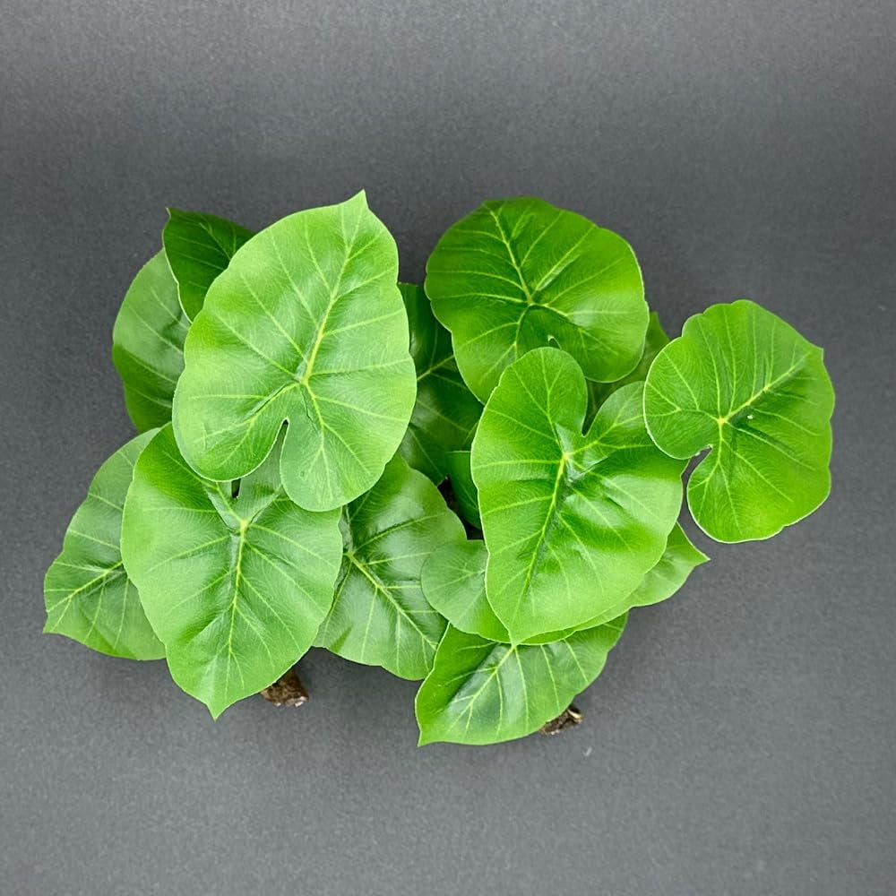 Pets Fish Tank Decor Aquarium Decorations Ornaments Betta Leaf pad Hammock 6inch Plastic Artificial Plant Goldfish Fish Hides Small Tank/Reptiles Plants Driftwood (Green-Type-A)