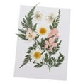 thumbnail image 1 of Abbracc Assorted Natural Real Pressed Dried Flowers/Pressed Leaves For Resin Jewelry B, 1 of 9