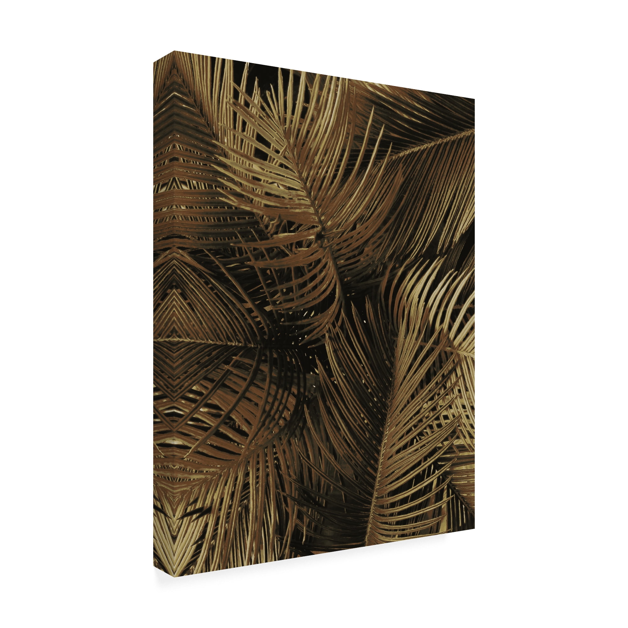 Trademark Fine Art 'Golden Palm 2 Fabrikken' Canvas Art by Design Fabrikken