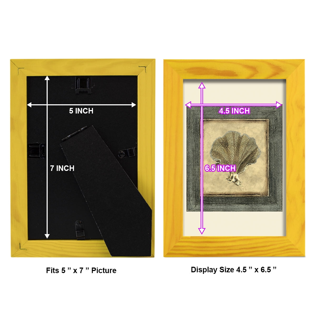 Mini Exotic Coral VI (U) - Framed Print w/glass - Sunflower Yellow