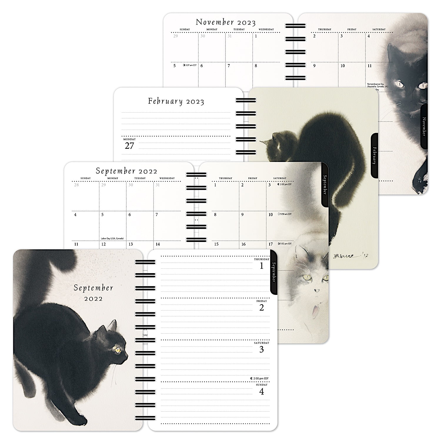 Buy Artful Cat 20222023 Weekly Planner Brush & Ink Watercolor