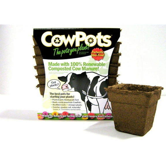CowPots 00102 Plantable Pots, Square, 4-in, 12-Pk. - Quantity 1