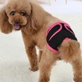 thumbnail image 2 of Pets Supplies Comfortable Magic Tape Brief Dogs Teddy Golden Retriever Walking Anti-harassment Pants, 2 of 5