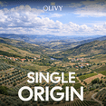 thumbnail image 2 of Olivy Extra Virgin Olive Oil 500ml – DOP Certified Trás-os-Montes Portugal | Early Harvest First Cold Pressed | Single Estate EVOO | 0.11% Acidity, 439 mg/kg Polyphenols | Product of Portugal, 2 of 8