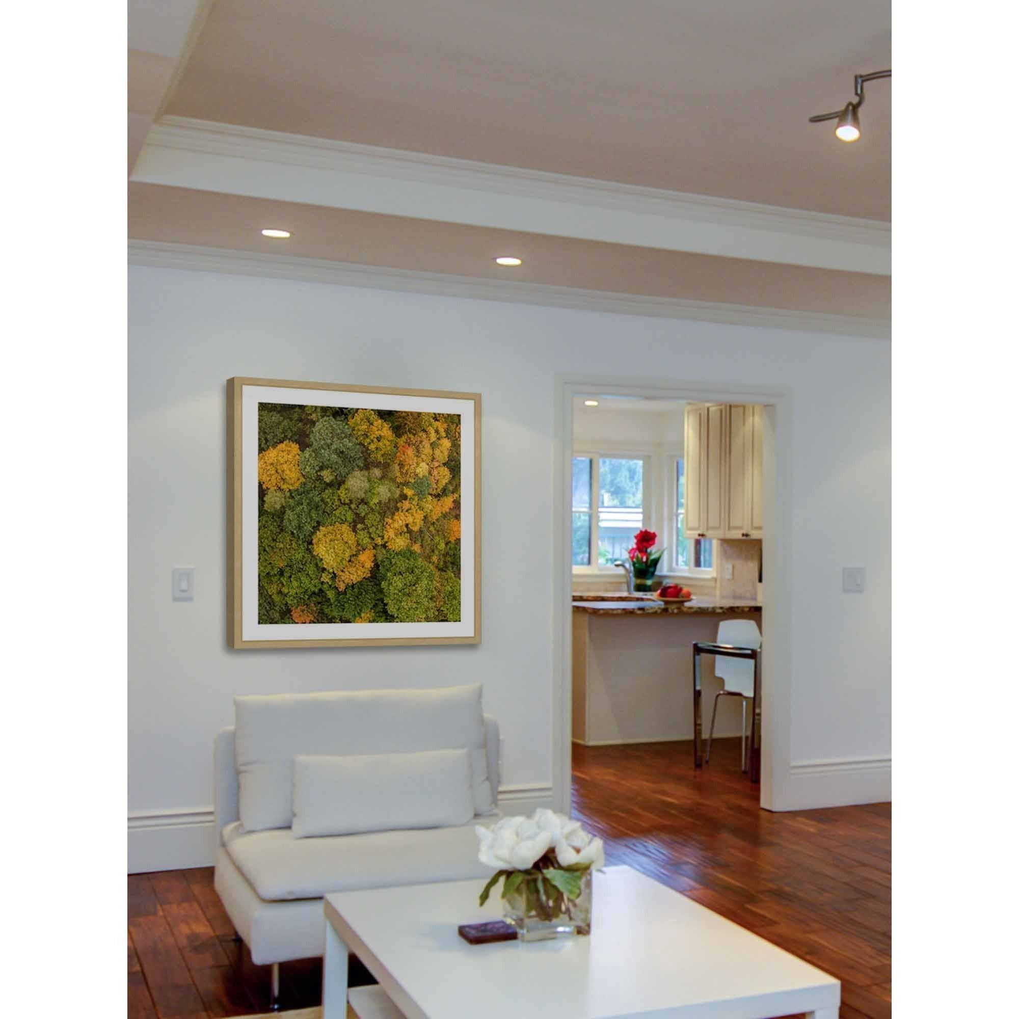 Marmont Hill "Bush Bunch" by Karolis Janulis Framed Painting Art Print