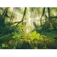 thumbnail image 3 of Rompecabezas Ravensburger 4 Estaciones 4x500 Piezas Certificado FSC, 3 of 9