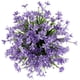 thumbnail image 3 of Nvzi 8 paquetes de flores de narcisos artificiales, plantas de plástico sintético resistentes a los rayos UV que no se decoloran (rosa), 3 of 5