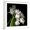 White Frame, variant on Art.com Frayed Tulips Photographic Print by Magda Indigo, 30" x 30"