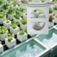 thumbnail image 5 of Cesta de cultivo hidropónico, hidropónico, cesta de cultivo, maceta de malla hueca resistente, vaso de para plantas, para jardín, 5 of 9