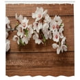 thumbnail image 3 of Ambesonne Almond Blossom Shower Curtain, Nature Composition, 69"Wx70"L, Green White and Brown, 3 of 3