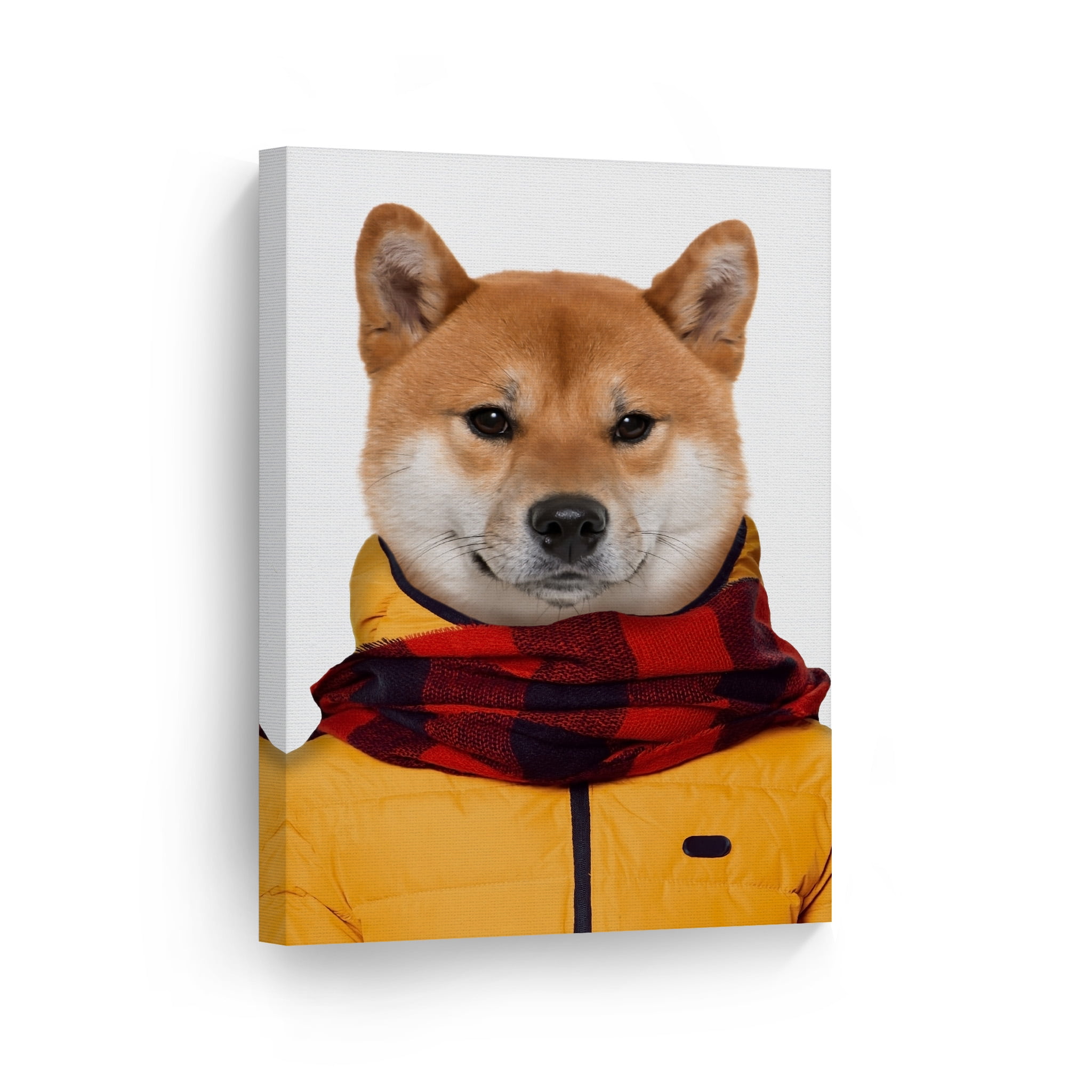 are shiba inus good with kids