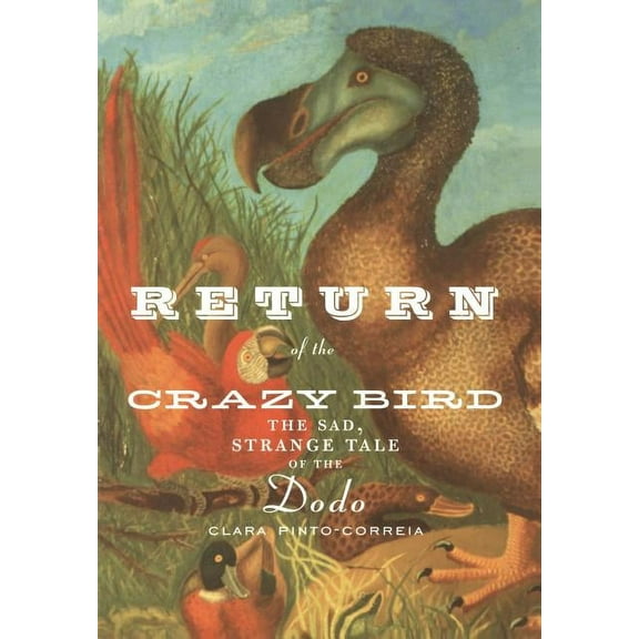 Return of the Crazy Bird: The Sad, Strange Tale of the Dodo, (Hardcover)
