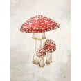thumbnail image 3 of Purinton, Julia 12x14 Black Modern Framed Museum Art Print Titled - Woodland Mushroom II, 3 of 5