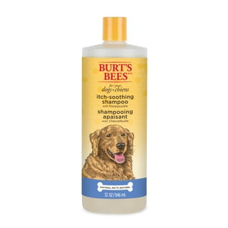 Dog Shampoos Benzoyl Peroxide