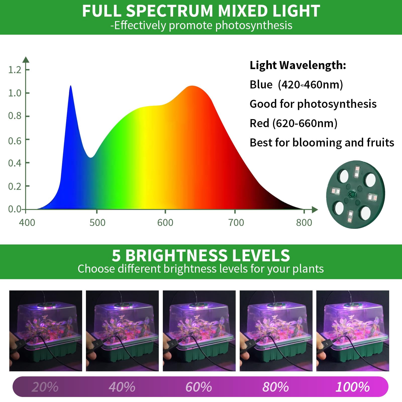 Qoolife Seed Starter Tray with Plant MVR1&nbsp;Light, 4 Lights for Seed Starting Kit with Humidity Domes, Timing Controller Adjustable Brightness for Greenhouse Propagator Station Planting Growing