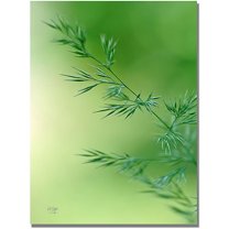 Trademark Fine Art "Keep Green" Canvas Wall Art by Lois Bryan