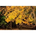 thumbnail image 3 of Hausenflock, Alan 24x17 Black Modern Framed Museum Art Print Titled - Late Fall Day II, 3 of 5