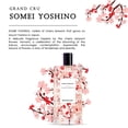 thumbnail image 4 of Somei Yoshino Eau de Toilette Spray de Berdoues Berdoues Model, 4 of 6
