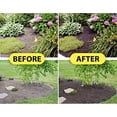 thumbnail image 5 of MulchWorx Black Mulch Color Concentrate- Gallon - Treats 11,200 sq. ft. - Pure Midnight Black Mulch Dye Spray, 5 of 5
