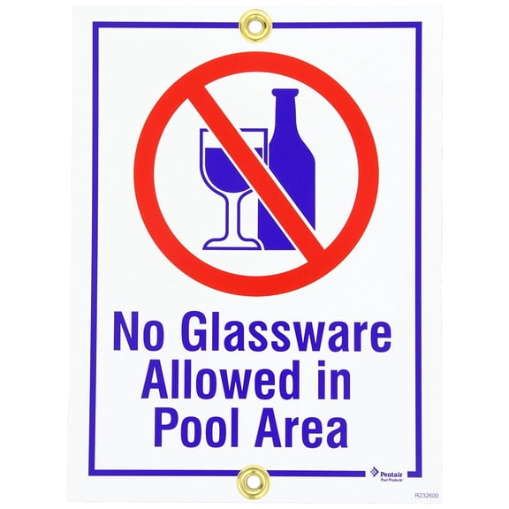 Pentair Rainbow R232600 9" x 12" No Glassware Allowed in Pool Area Sign