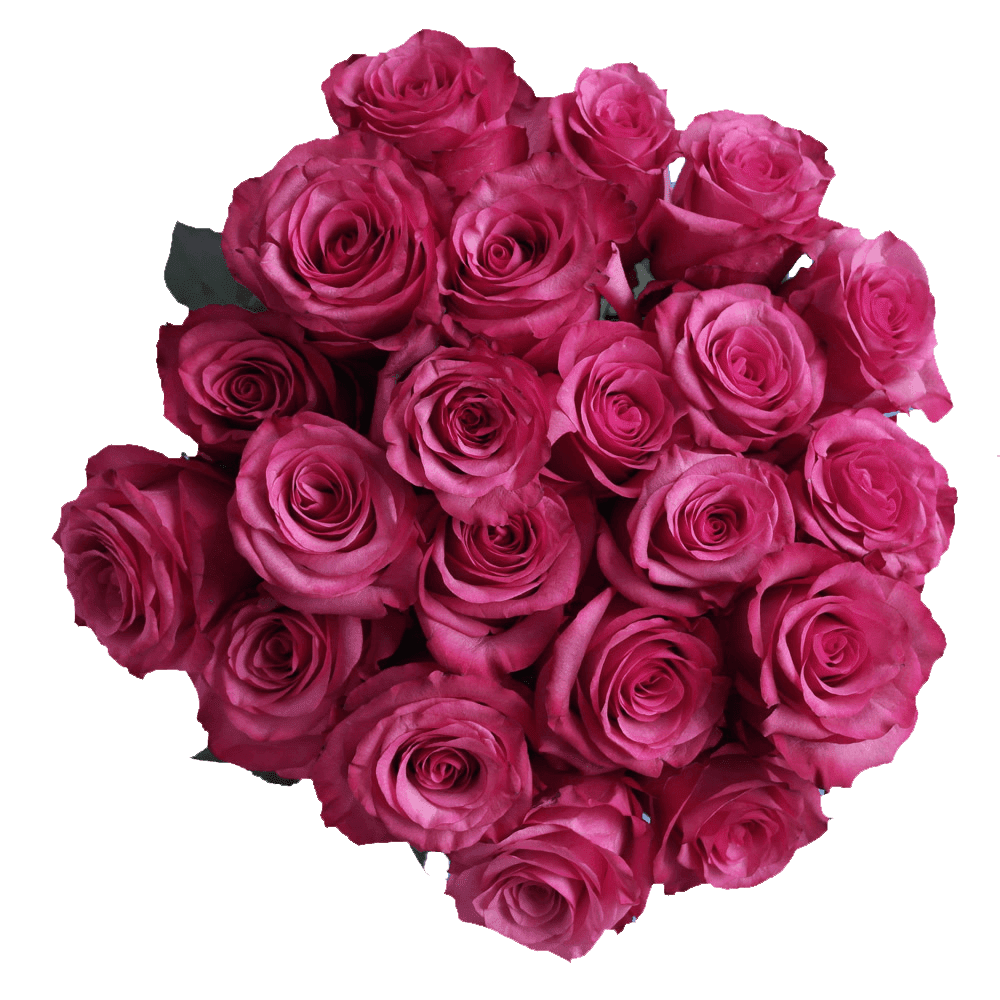 50 Stems of Lola Roses- Fresh Flower Delivery - Walmart.com