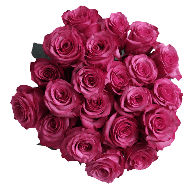 50 Stems of Lola Roses Fresh Flower Delivery