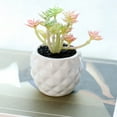 thumbnail image 4 of 3pcs simulation succulent potted plant creative decoration pineapple ceramic bonsai interior decoration artificial green plants - type:style4;, 4 of 5