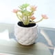 thumbnail image 4 of 3 uds simulación de planta suculenta en maceta decoración creativa piña cerámica bonsái decoración interior plantas verdes artificiales, 4 of 5