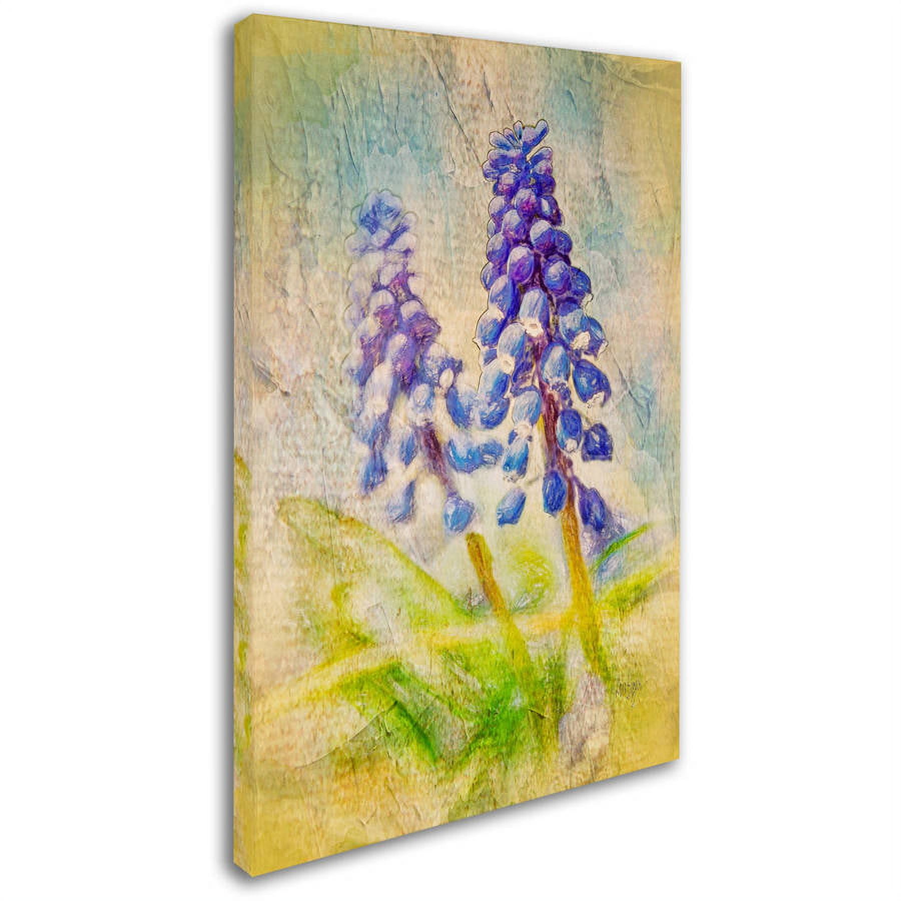 Trademark Fine Art "Nostalgic Grape Hyacinth" Canvas Art by Lois Bryan