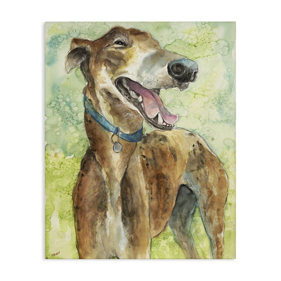 Stupell Industries Traditional Greyhound Smile Watercolor Canvas Art, 16 x 20, by Patti Mann