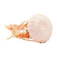 thumbnail image 4 of Safari Ltd. Jellyfish Figurine - Lifelike 5" Model Figure - Educational Toy for Boys, Girls, and Kids Ages 3+, 4 of 5