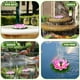 thumbnail image 4 of Fuente Solar Hoja Paisajismo Flotante Paisaje Acuático Al Aire Libre Fuente Jardín Piscina Característica Hoja (rosa) Agregue Boquillas Al Realizar El Pedido, 4 of 9