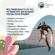 Sea Moss Raw Organic for Organic Seamoss Gel Makes 75oz of Dr Sebi Sea Moss Gel - Certified Non-GMO, Wildcrafted Organic Raw Sea Moss - 75 days supply of Sea moss Gel - 100 Gram Bag