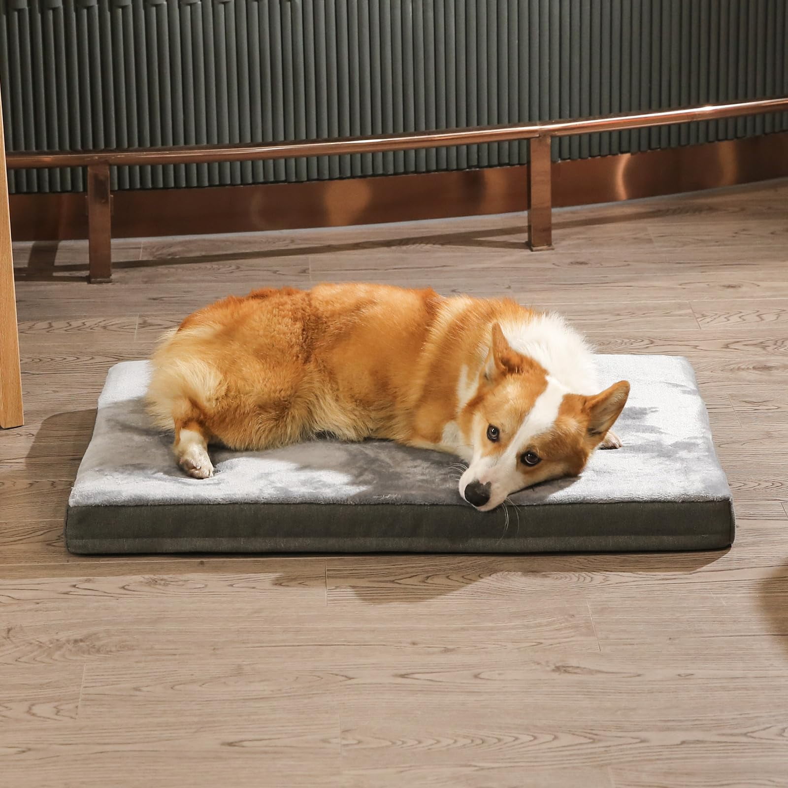 Yl-YANG Waterproof Dog Bed Medium Size Dog Orthopedic Dog Beds for Crate with Removable Washable Cover Egg-Crate Foam Pet Pad Mat with Anti-Slip Bottom, 24-inch Grey (without leather label)