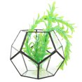 thumbnail image 4 of Plant Container Geometric Shape Plant Planter, Flowerpot, Succulents for Flower Shop Garden Home, 4 of 7