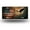 Rustic Eagle Fly, variant on We the People Eagle Front License Plate, Metal License Plate, Funny Standard Plates Personalized Novelty Decorative For Men/Women/Boys/Girls Car 6×12 Inch