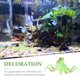 thumbnail image 3 of unbranded De Acuario Con Para Y Paisaje De Pecera, 3 of 8