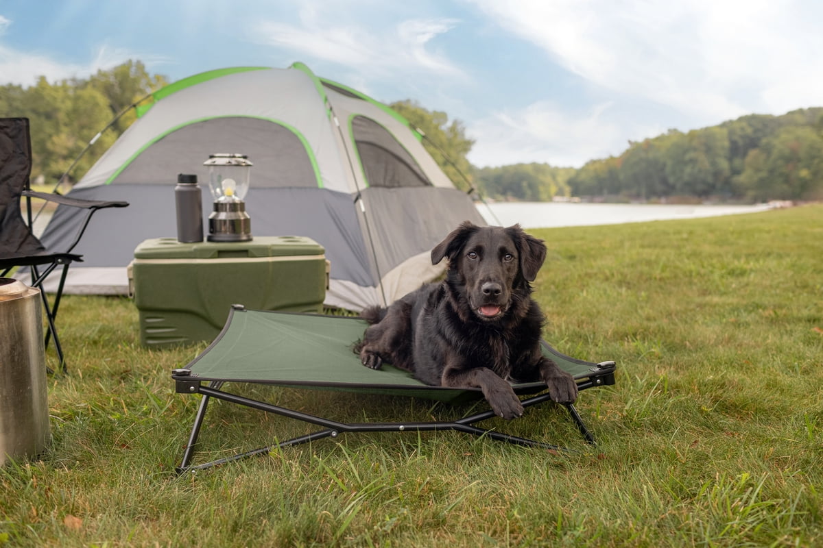 Coolaroo Elevated Pet Bed On-The-Go with HeatShield Cooling Fabric, Everglade Green, Large