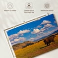 thumbnail image 6 of Elephant Stock Bison In National Park Wall Art - Horizontal Canvas Wall Art - Living Room Wall Decor - Animal Canvas - Brown And Blue Decor - 12" x 8", 6 of 8