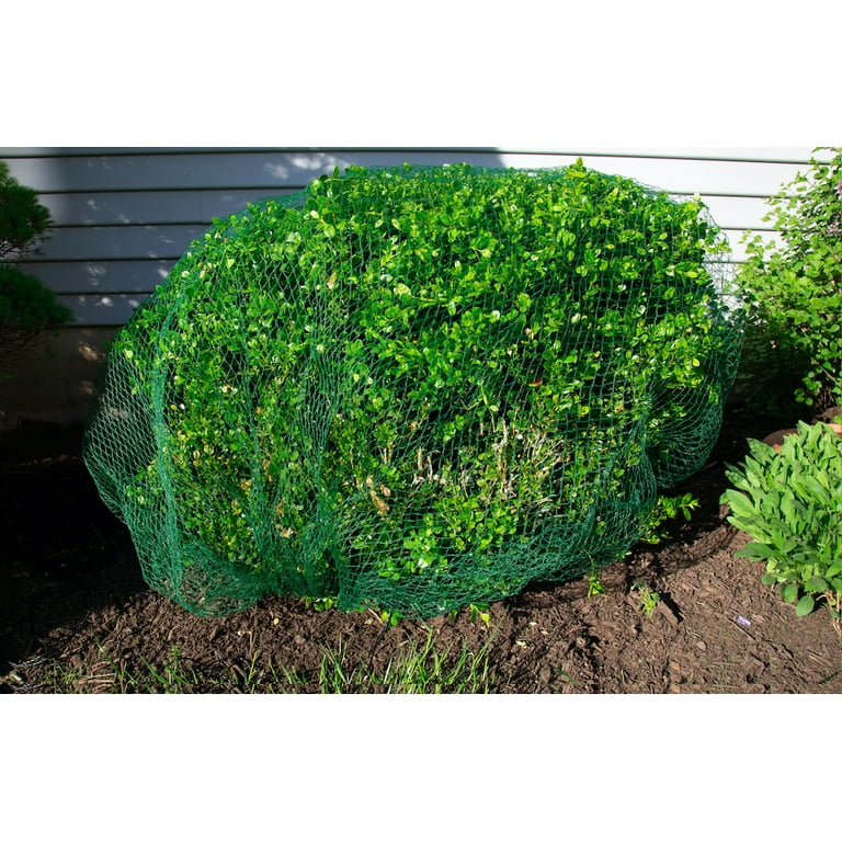 deerest「ガーデンテントRain Melodie」 deerest Rain Melodie初張り - YouTube