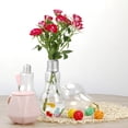 thumbnail image 3 of TIMIFIS Bottle Clear Light Bulb Shape Stand Flower Vase Hydroponic Container Bottle Kitchen Appliances, 3 of 4