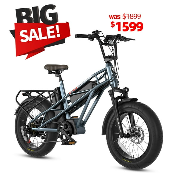 Adult Electric Bicycles 20 Inch Bikes