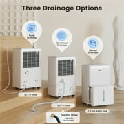DuraComfort 50 Pint Dehumidifier with Pump for Basement, 4500 Sq Ft Coverage, Energy Star, Auto Drain, High Efficiency Humidity Control