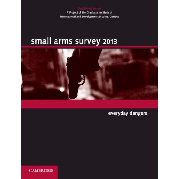 Small Arms Survey Small Arms Survey 2013: Everyday Dangers, (Paperback)